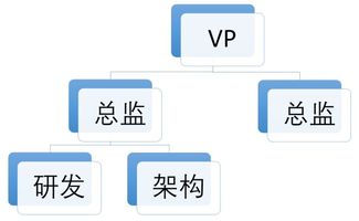 五維協同 研發、產品、架構、業務與項目管理下的多元組織架構建設與市場營銷策略融合